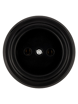 Розетка 2П 10А 250В черная «Виви» TDM