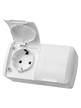 Розетка двойная 2П+3 открытой установки IP54 16А с крышкой белая "Селигер" TDM 