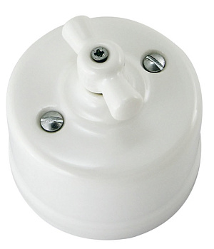 Выключатель скрытой установки фарфоровый поворотный с ручкой (бантик) 10А белый «Болонь» TDM